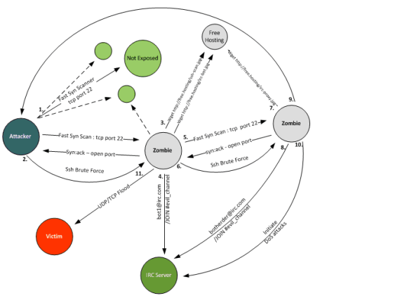 Bot Infection Process