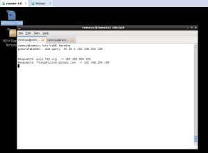 fakedns-remnux