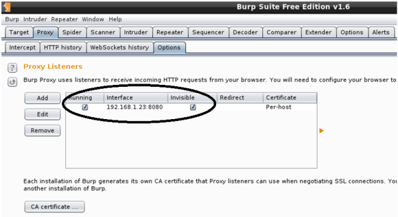 malware-analysis-framework-burp