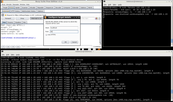malware-analysis-framework-result1