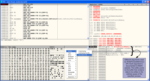 dridex-unpackedsample